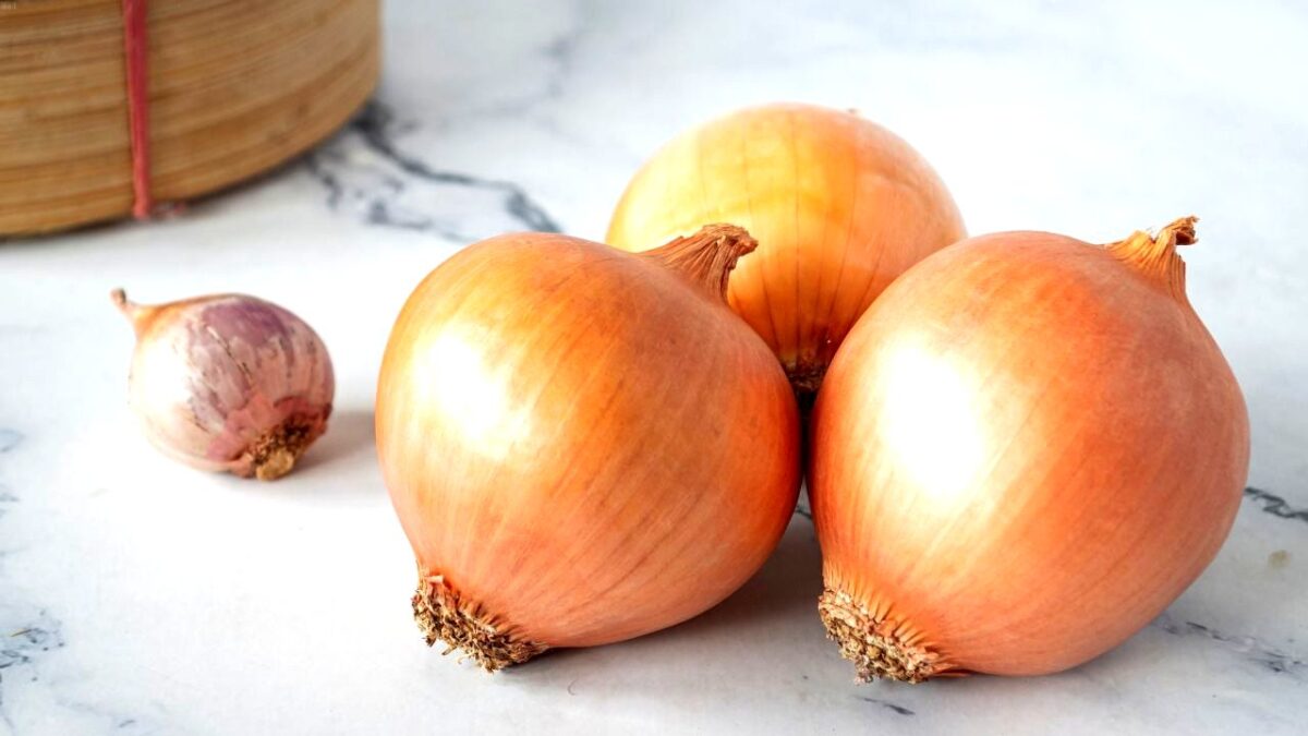 aelbers-media-de-sneeuw-is-er-werkt-de-bruine-ui-truc-echt-tegen-rijp-en-ijs-op-de-voorruit