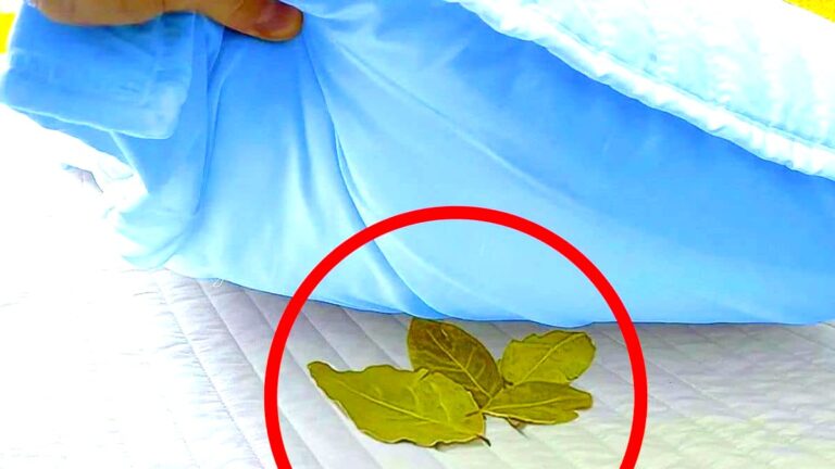 aelbers-media-de-stille-comeback-van-regenwater-in-het-huishouden