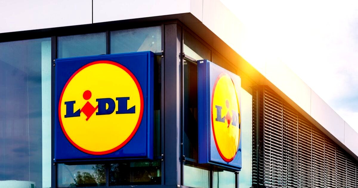 aelbers-media-lidl-verrijkt-met-olijfolie-deze-handcreme-onder-de-2-euro-behoort-tot-de-beste-volgen